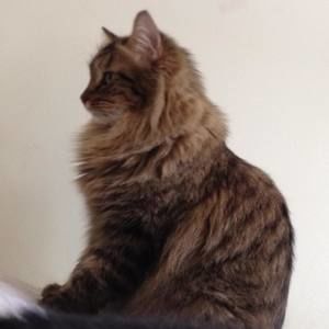 Meet your Posher, Bobbie